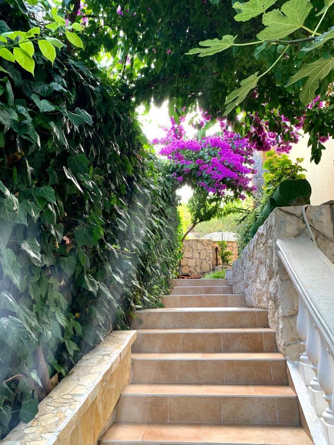 Apartments Villa Ra زابوريتش المظهر الخارجي الصورة